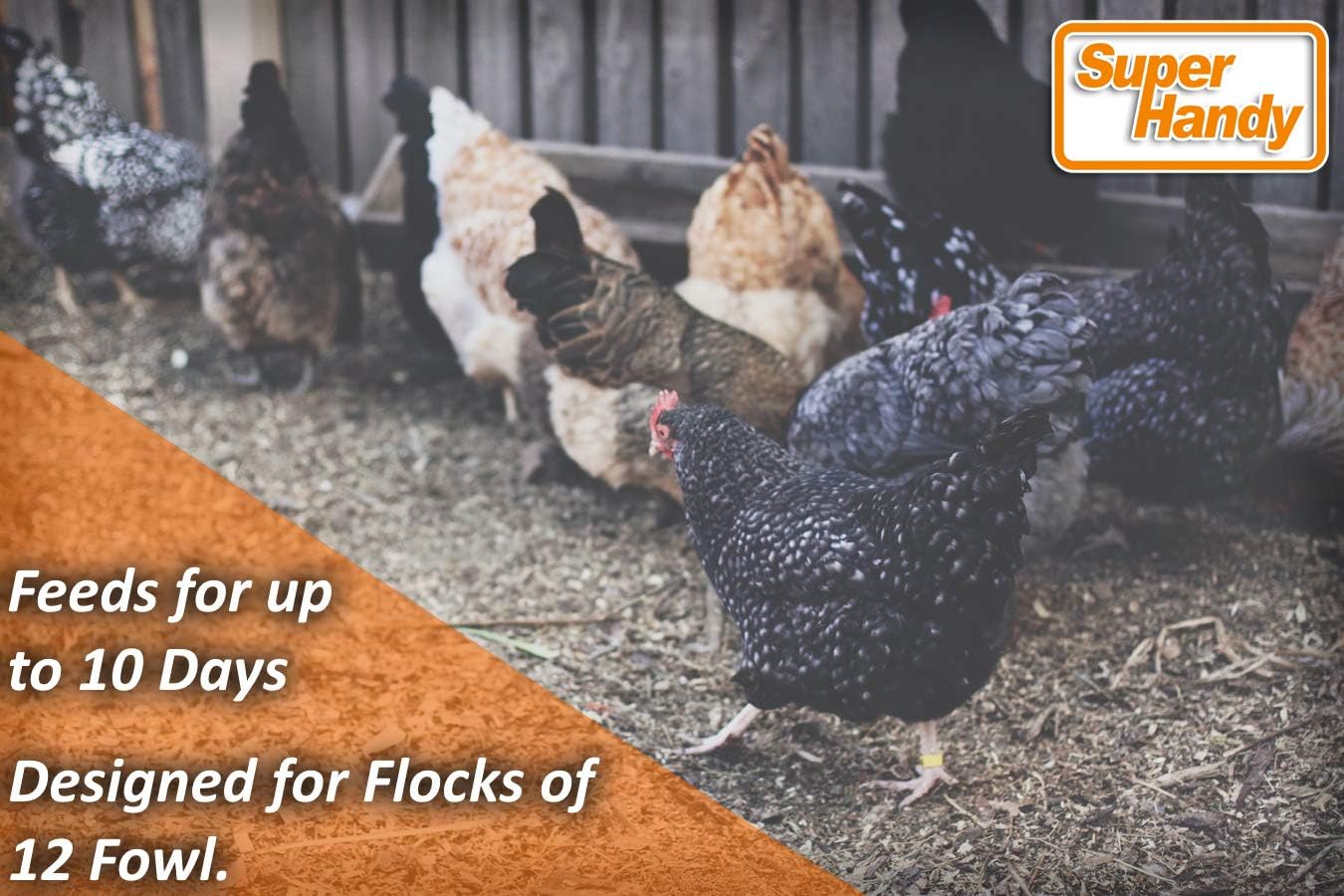 SuperHandy Chicken Feeder Automatic 20lbs (9kg) Capacity Trough Feeds 6-12 Poultry/Fowl Up to 10 Days Keeps Dry with Spill Proof Galvanized Steel Bird Prevention for Chickens, Pheasants, or Roosters